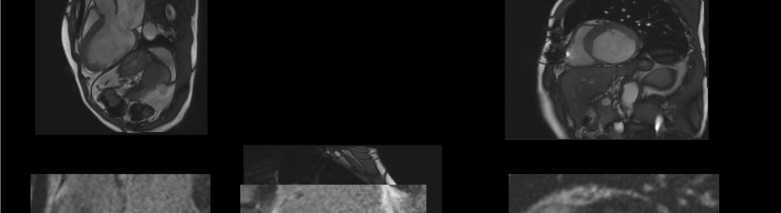 201911181355-img37