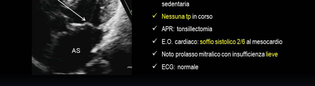 201911181435-antonicelli-diapositiva07