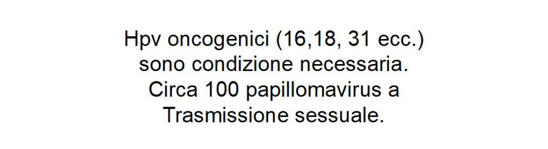 201911181605-img02
