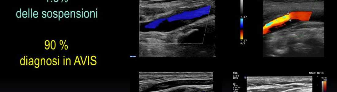 diapositiva15